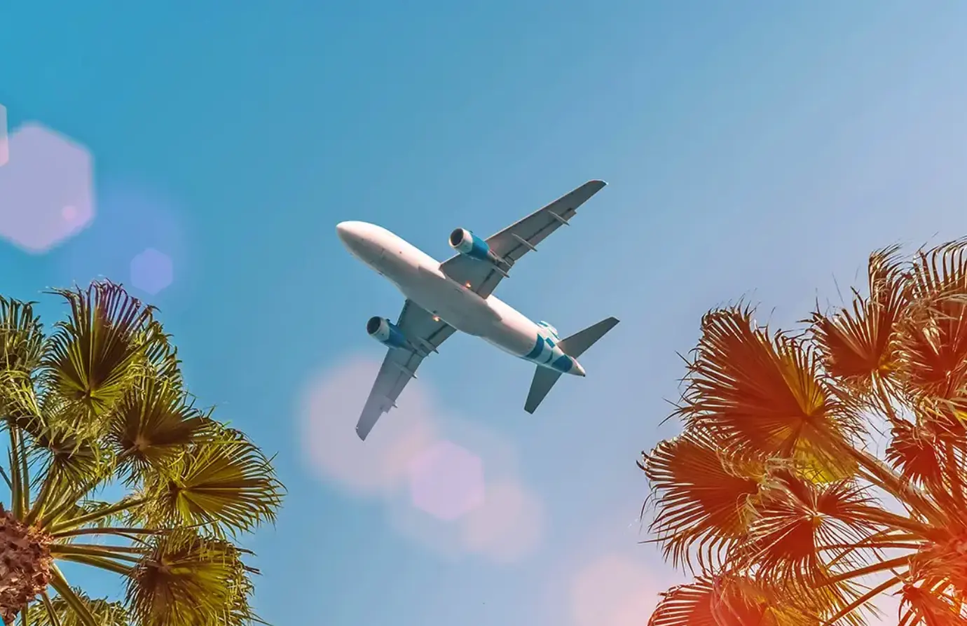 Flugzeug über Palmen