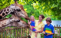 Zoo Hannover